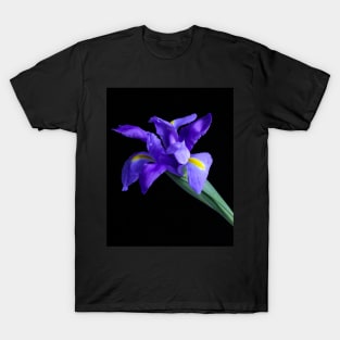 Purple Iris T-Shirt